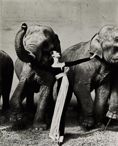 dovima with elephants 1955.